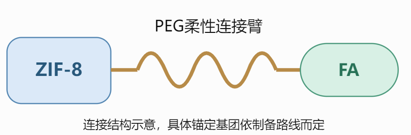 PEG桥接型FA-ZIF-8结构示意