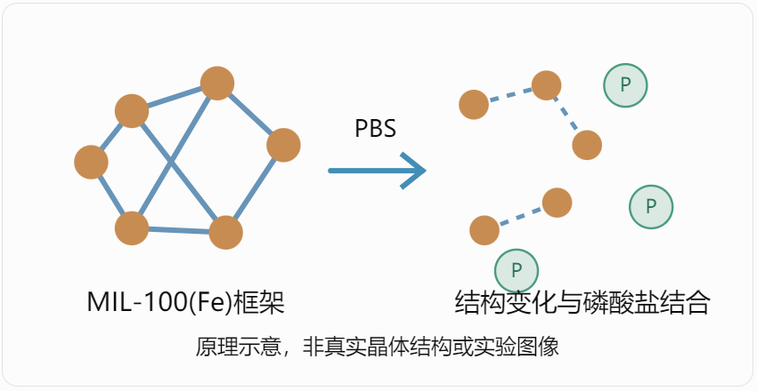 MIL-100(Fe)与磷酸盐环境的相互作用示意