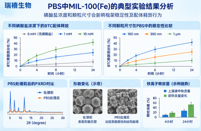 PBS中MIL-100(Fe)的典型实验结果分析