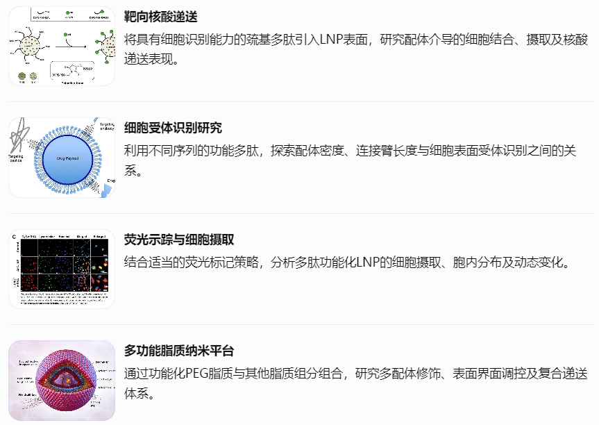 DSPE-PEG-MAL功能化LNP的应用研究方向