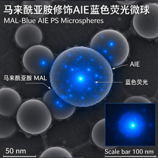 马来酰亚胺修饰AIE蓝色荧光微球（50 nm），MAL-Blue AIE PS Microspheres