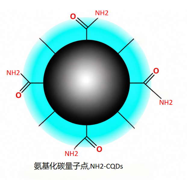 氨基化碳量子点,NH2-CQDs 黄光 R-206955 产品图