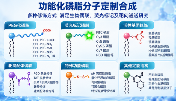 瑞禧生物磷脂分子设计