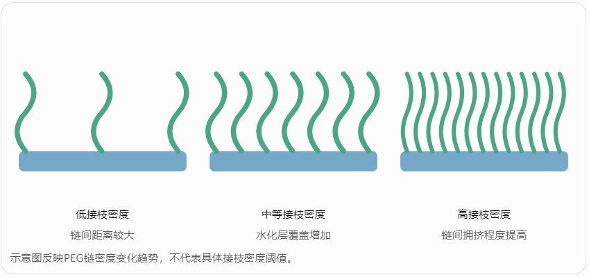不同PEG接枝密度对应的表面构象