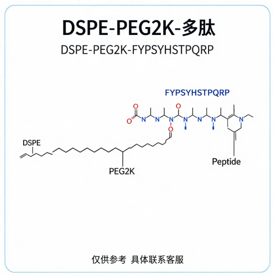 DSPE-PEG2K-FYPSYHSTPQRP（DCpep）；DSPE-PEG2K-多肽 R-866941