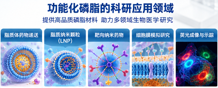 西安瑞禧生物磷脂改性偶联定制服务
