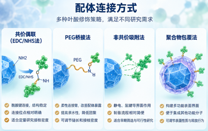 叶酸修饰ZIF-8纳米颗粒 配体连接方式