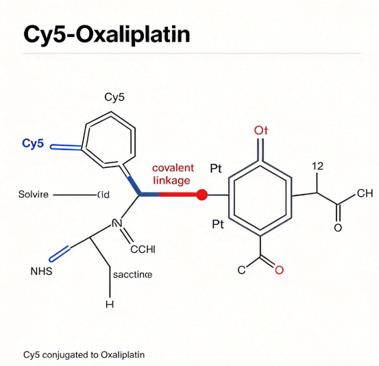 Cy5-Oxaliplatin，Cy5荧光标记奥沙利铂 R-221491 产品图