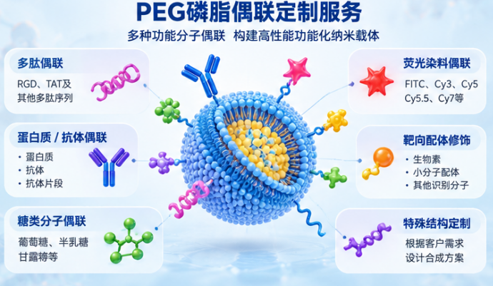 PEG磷脂-改性&偶联