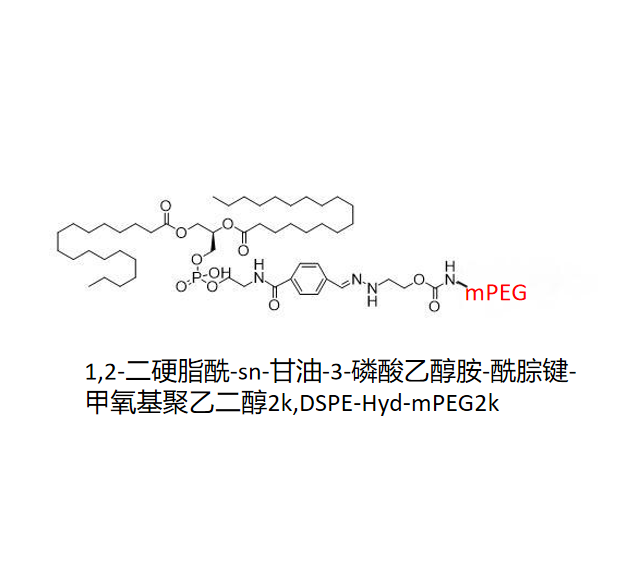 1,2-二硬脂酰-sn-甘油-3-磷酸乙醇胺-酰腙键-甲氧基聚乙二醇2k,DSPE-Hyd-mPEG2k R-410729 产品图
