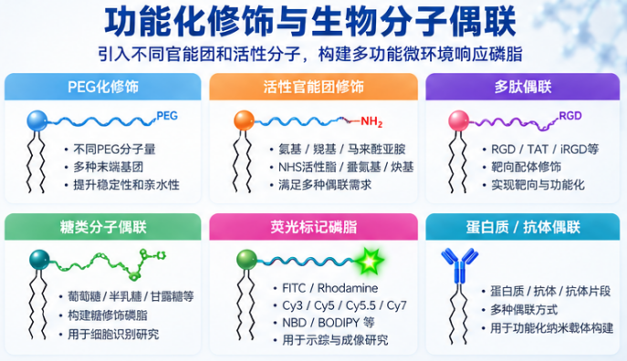 瑞禧生物微环境响应磷脂