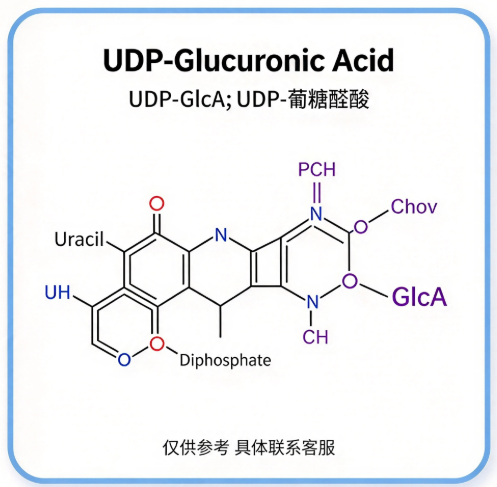 UDP-Glucuronic Acid (UDP-GlcA)；UDP-葡糖醛酸 R-656592 产品图
