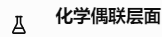 化学偶联层面