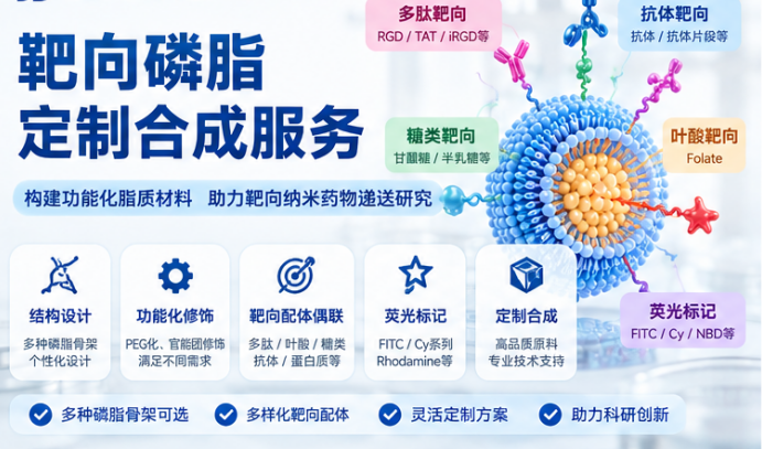 瑞禧生物靶向磷脂定制合成