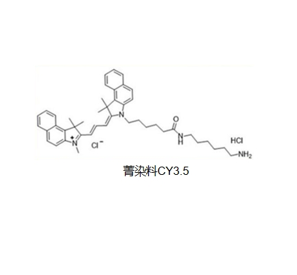 CY3.5荧光染料单体,Cyanine 3.5 R-751567 产品图