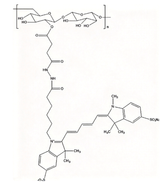 Cy5-Dextran100K，荧光染料Cy5标记葡聚糖（100K） R-208299 产品图