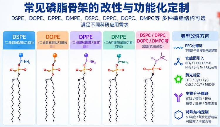 西安瑞禧生物磷脂改性偶联定制服务
