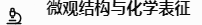微观结构与化学表征