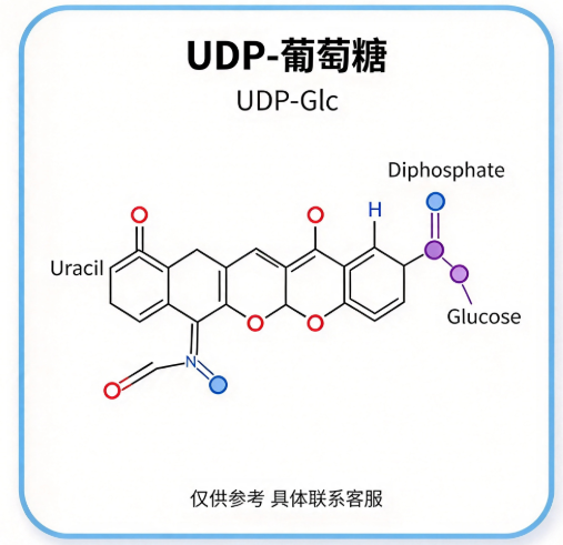UDP-葡萄糖，UDP-Glc R-614050 产品图