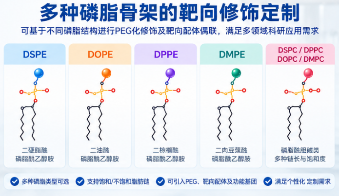 瑞禧生物靶向磷脂定制合成