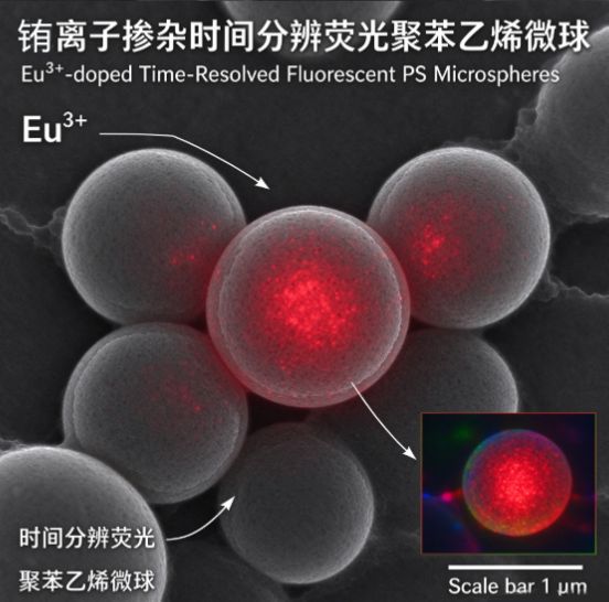 稀土铕荧光聚苯乙烯微球，Europium Fluorescent PS Microspheres R-282547 产品图
