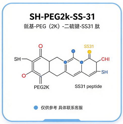 SH-FEG2k-SS-31，巯基-FEG（2K）-二硫键-SS31 肽 R-563730 产品图
