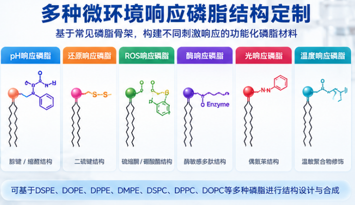 瑞禧生物微环境响应磷脂