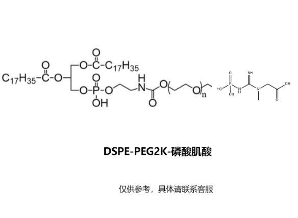 DSPE-PEG2K-磷酸肌酸；DSPE-PEG2K-phosphocreatine R-623201 产品图