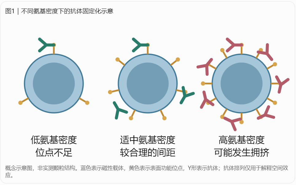 Fe₃O₄磁性纳米颗粒