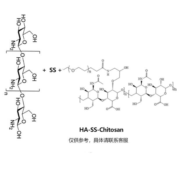 HA-SS-Chitosan,透明质酸-二硫键-壳聚糖,透明质酸-SS-壳聚糖 R-319097 产品图