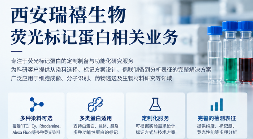 荧光标记蛋白