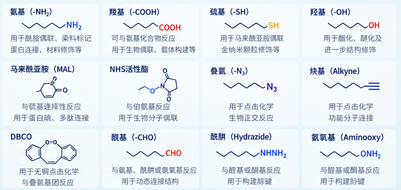 瑞禧生物各种化合物活性基团化定制