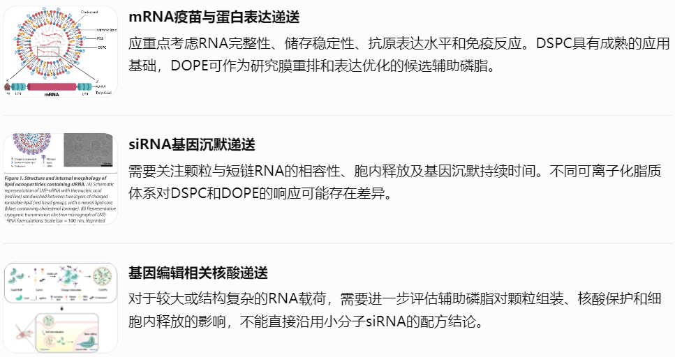 不同核酸递送应用中如何选择DSPC或DOPE