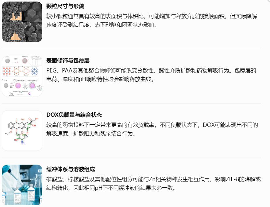 影响ZIF-8酸响应降解与DOX释放的关键因素