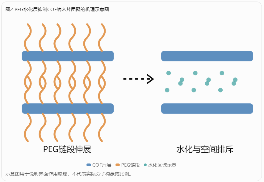 PEG水化层抑制COF纳米片团聚的机理示意图