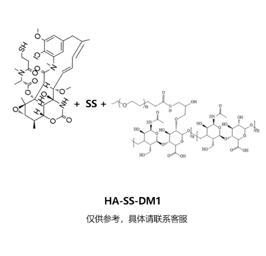 HA-SS-DM1,透明质酸-二硫键-DM1,透明质酸-SS-美坦辛（美登素）PubMed R-626992