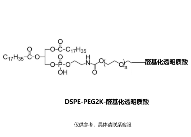 DSPE-PEG2K-醛基化透明质酸 400 KDa；DSPE-PEG2K-CHO-HA 400 KDa R-334891 产品图