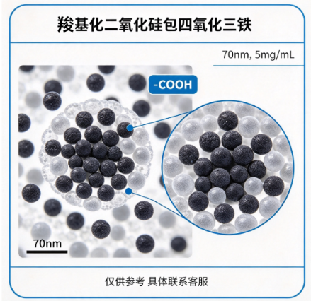 羧基化二氧化硅包四氧化三铁（70nm，5mg/ml） R-833362 产品图