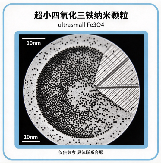 超小四氧化三铁纳米颗粒 R-824976 产品图