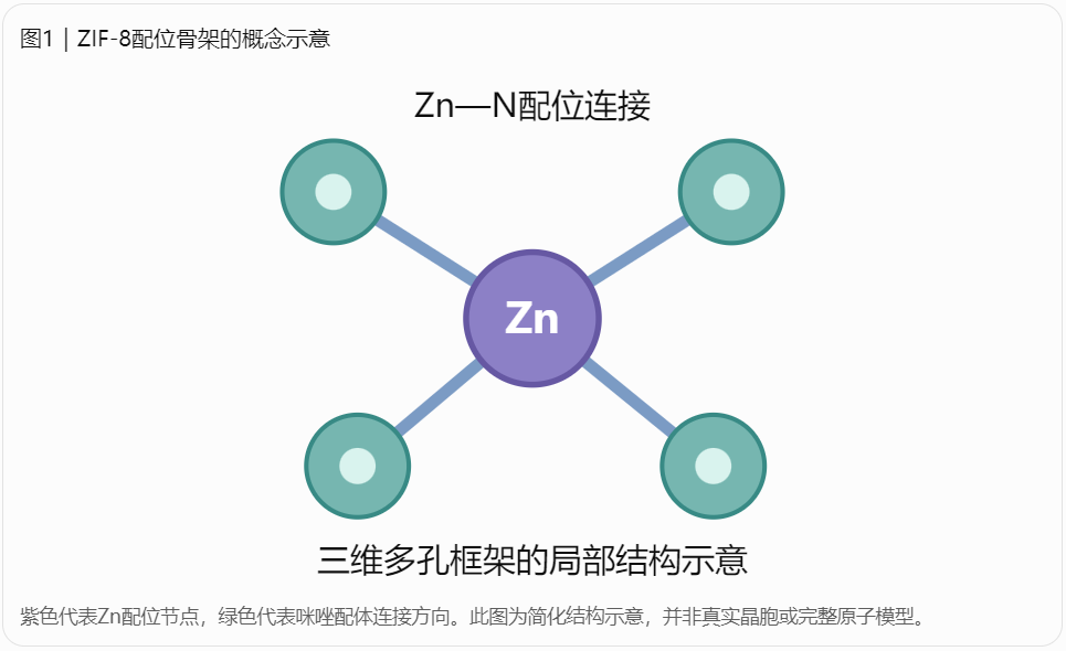 ZIF-8的基本组成与骨架特征