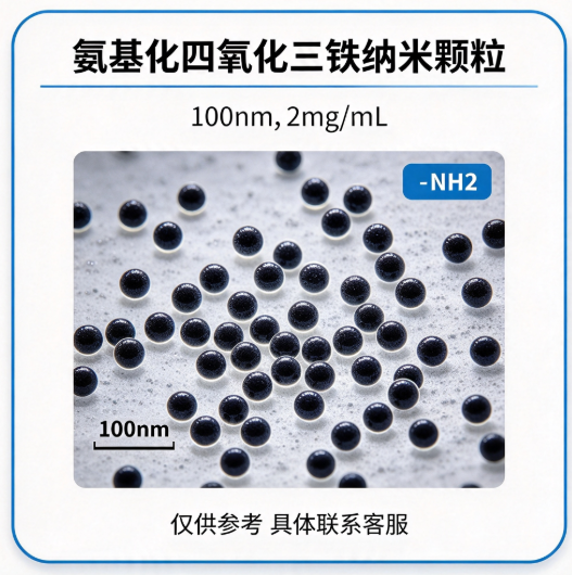 氨基化四氧化三铁纳米颗粒 100nm  浓度2mg/ml R-528307 产品图