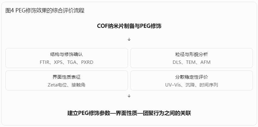 PEG修饰效果的综合评价流程