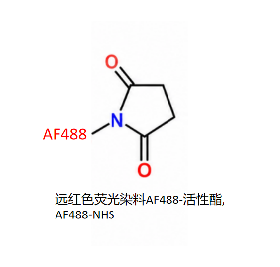 远红色荧光染料AF488-活性酯,AF488-NHS R-367334 产品图