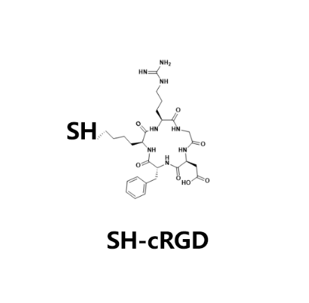 SH-cRGD,巯基化的多肽 R-515362