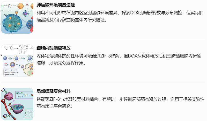 ZIF-8酸响应药物递送的应用前景与挑战