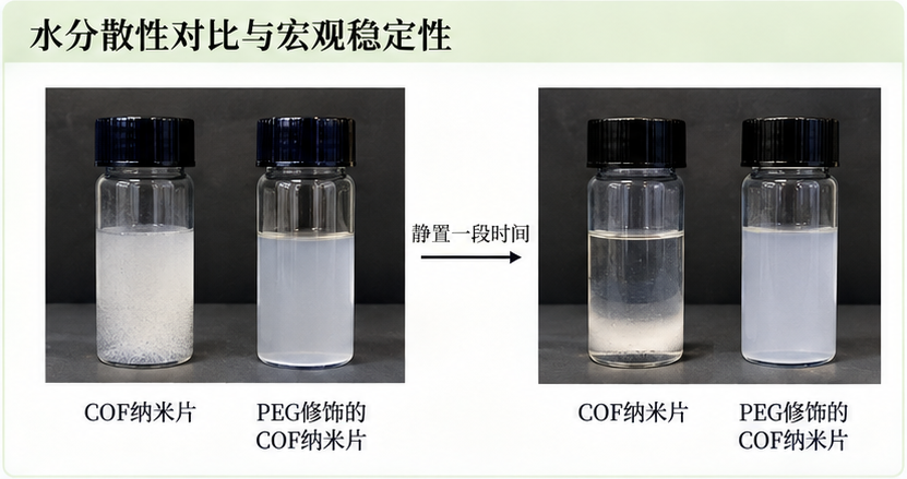 水分散性对比与宏观稳定性