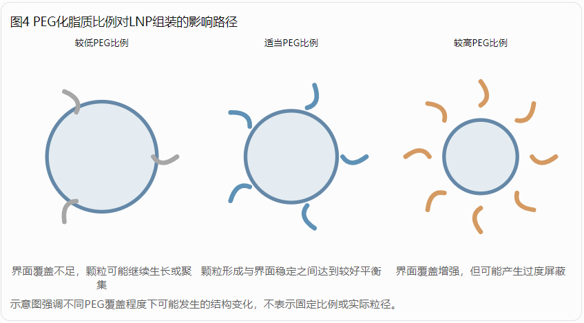 PEG化脂质比例对LNP组装的影响路径