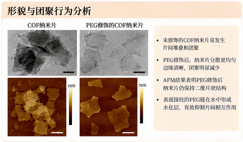 形貌与团聚行为分析