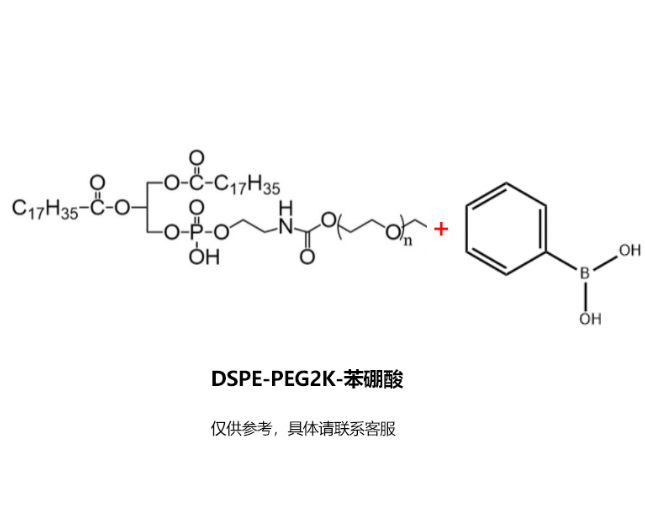 DSPE-PEG2K-苯硼酸；DSPE-PEG2K-PBA R-822486 产品图