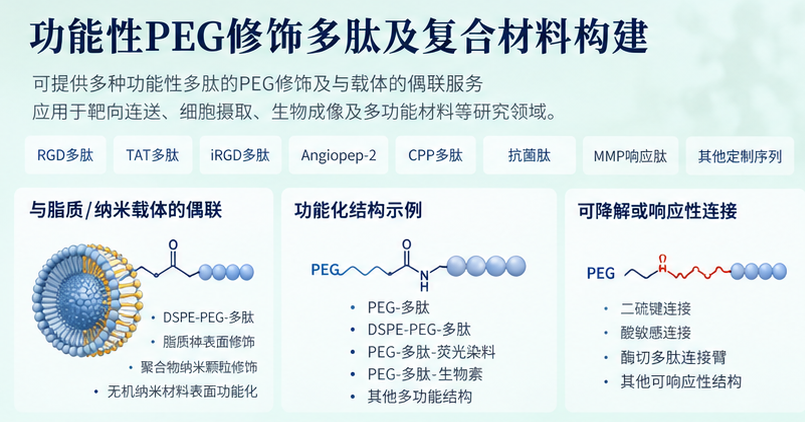 PEG修饰多肽